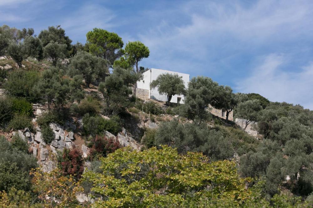 House Λ Villa Moni Evaggelistrias Exterior foto